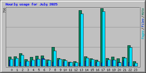 Hourly usage for July 2025