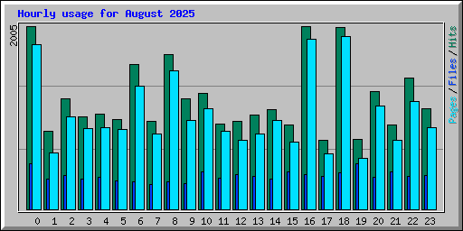 Hourly usage for August 2025