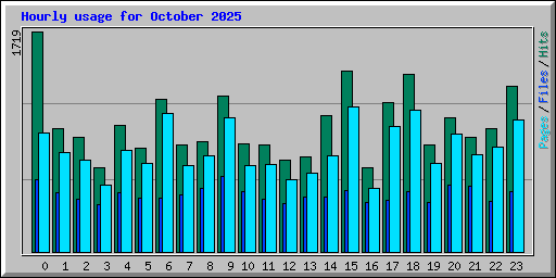 Hourly usage for October 2025