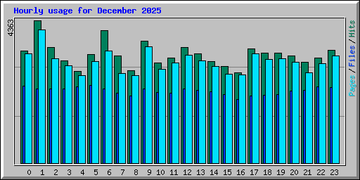 Hourly usage for December 2025