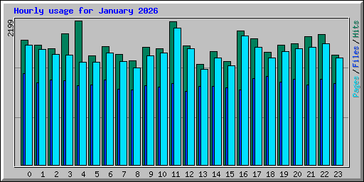 Hourly usage for January 2026